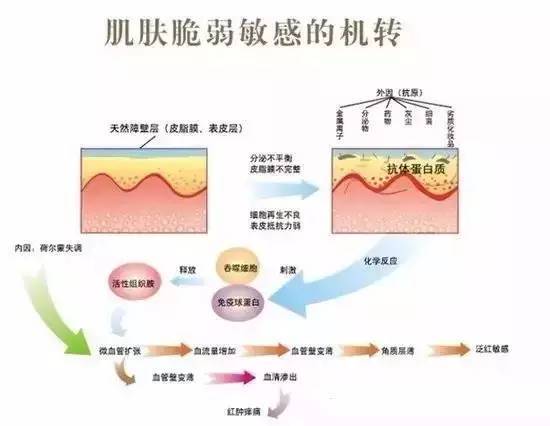 果尔佳签约广州达意隆包装机械股份有限公司钢结构屋面防水工程