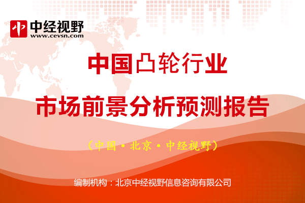 中国凸轮行业市场前景分析预测报告