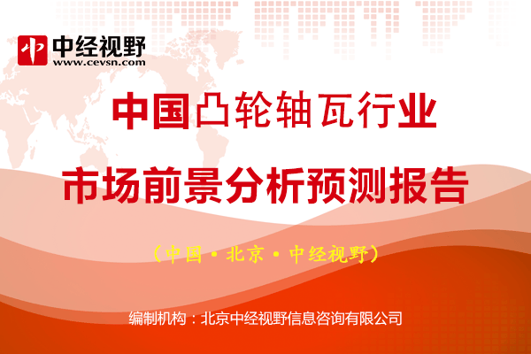 中国凸轮轴瓦行业市场前景分析预测报告