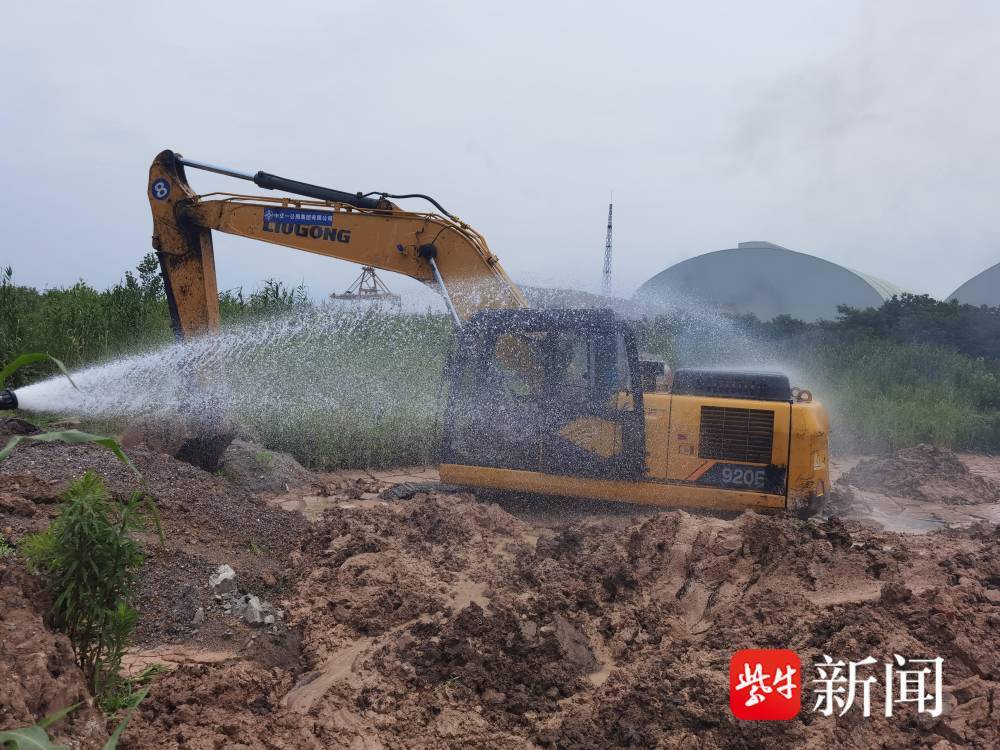 天天中彩票app下载手机-挖掘机师傅清理河道挖到扬子鳄 当场傻眼反复确认